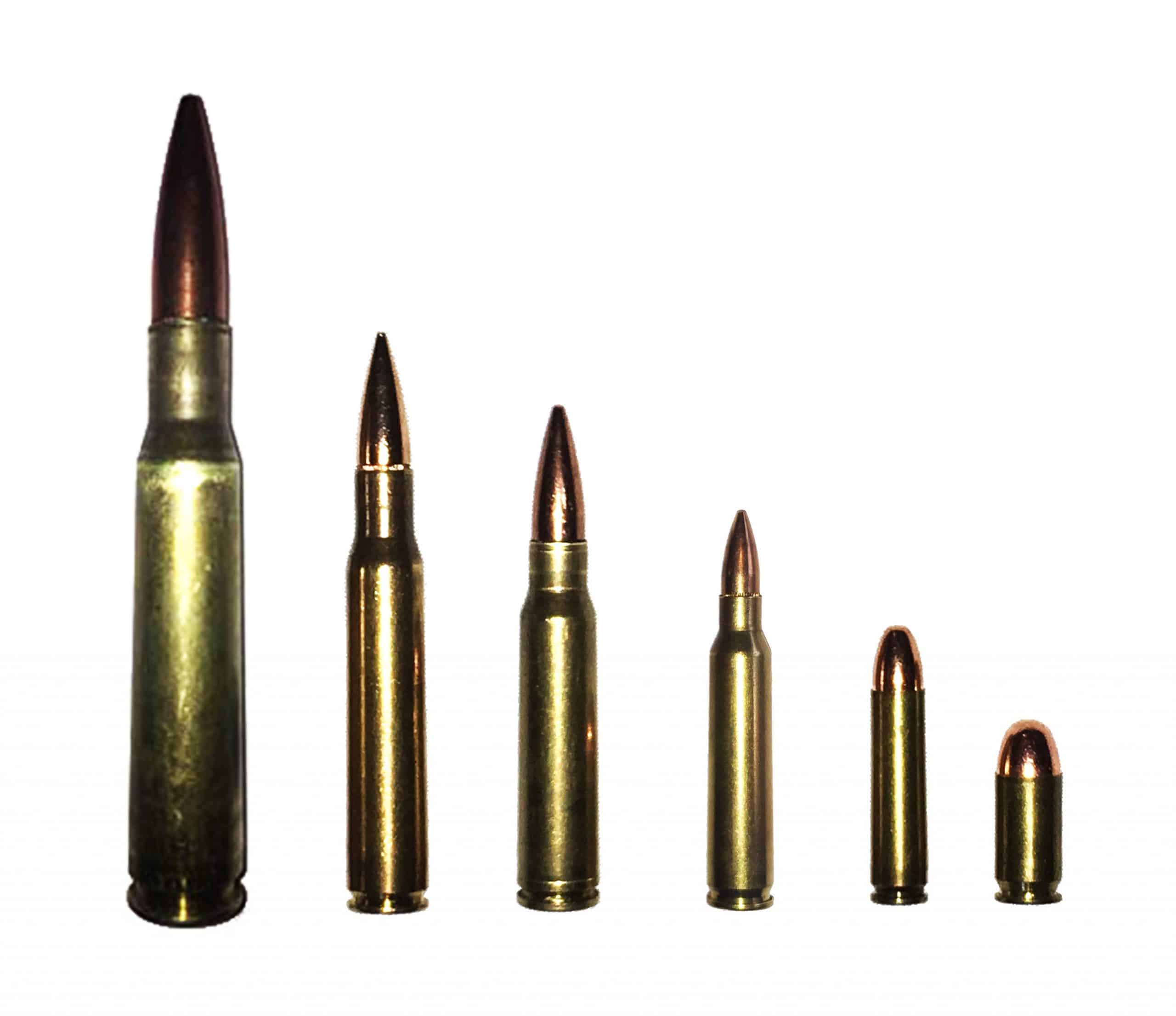 Winchester Magnum Collection Dummy Rounds Snap Caps Fake Bullets WSM WSSM -  Rifle Ammunition at  : 1003285641