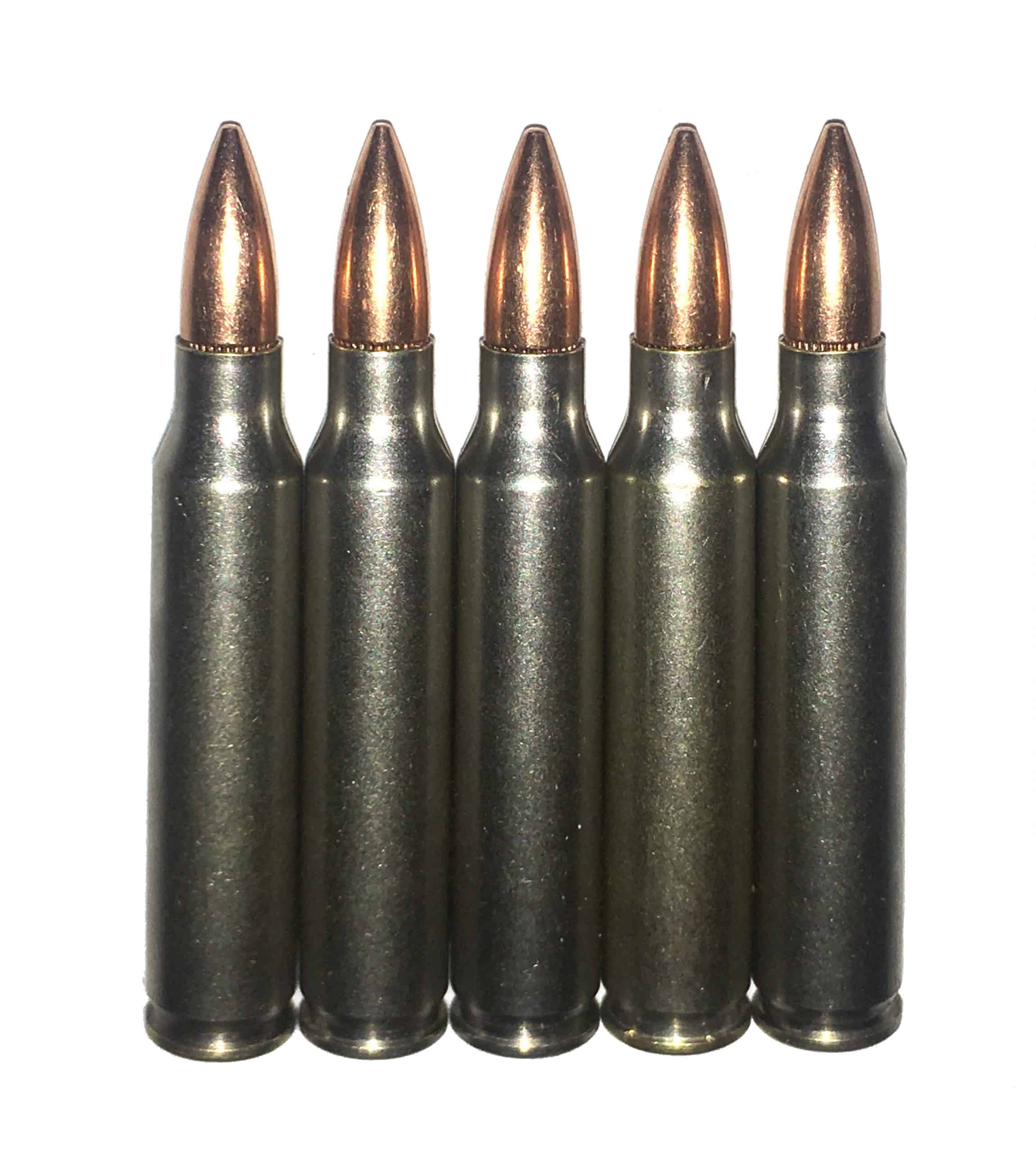 223 Remington Nickel - Snap Caps Dummy Rounds - Fake Bullets