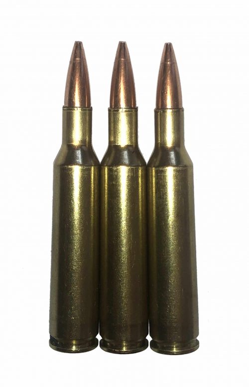 6mm Remington .244 Rem Dummy Rounds Snap Caps Fake Bullets J&M Spec INERT