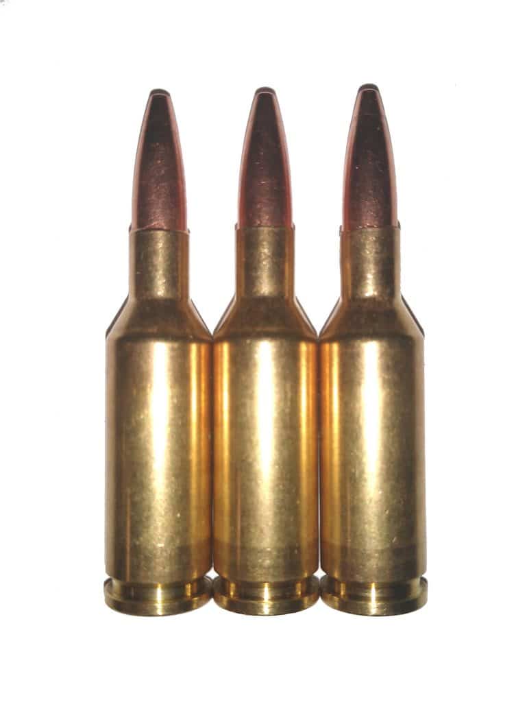 22 PPC - Snap Caps Dummy Rounds - Fakebullets.com INERT