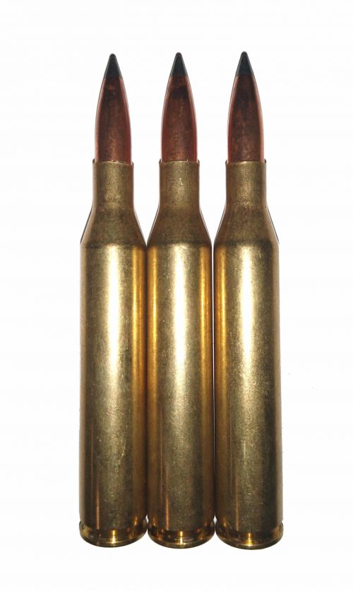 6mm-06 Dummy Rounds Snap Caps Fake Bullets Ammo 6x63 J&M Spec INERT