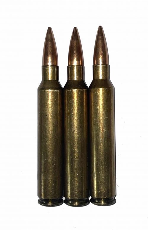 300 Remington Ultra Magnum Rem Ultra Mag RUM Dummy Rounds Snap Caps Fake Bullets J&M Spec INERT