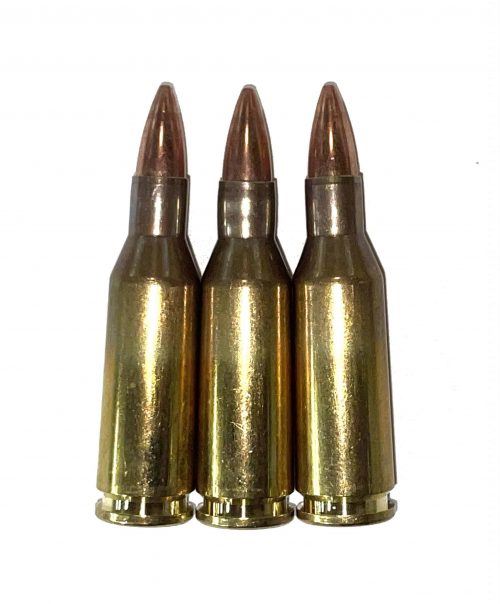 220 Russian 5.6x39 Dummy Rounds Snap Caps Fake Bullets .220