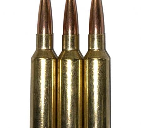 25 Creedmoor Dummy Rounds Snap Caps Training Inert