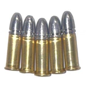 22LR Dummy Round INERT Display
