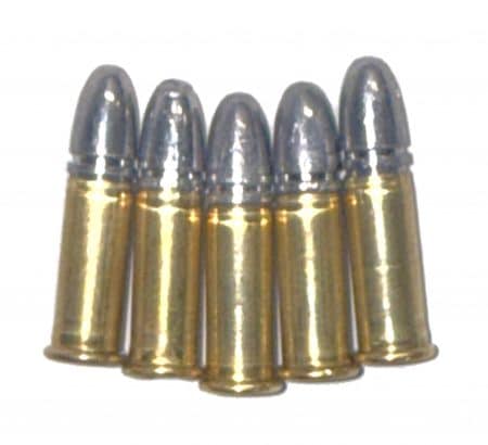 22LR Dummy Round INERT Display