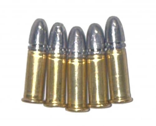 22LR Dummy Round INERT Display